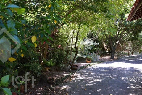 Image 7 - 232006